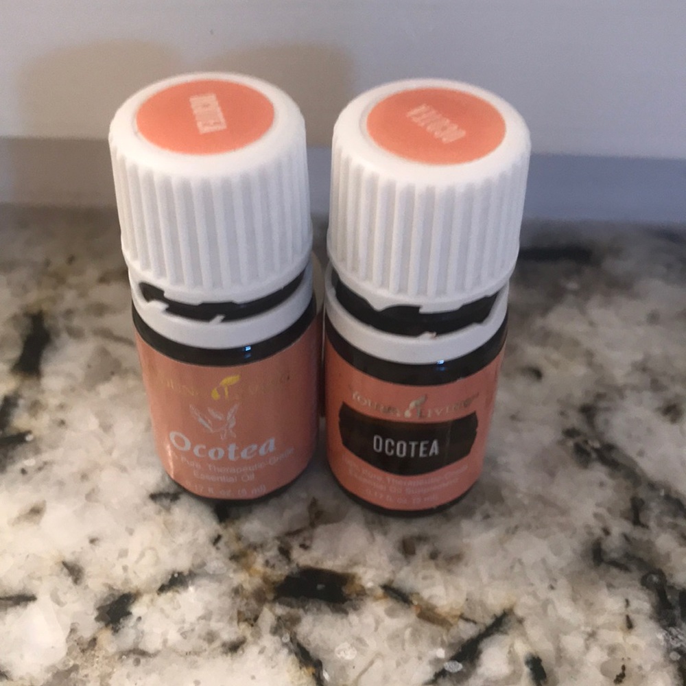 2 YL ocotea